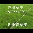 贵定县绿化草坪种植基地 