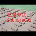【贵州草坪】三都县绿化草坪生产基地 