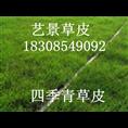 重庆绿化草坪基地~草坪管理 