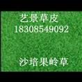 开阳县高尔夫绿化草坪种植基地 