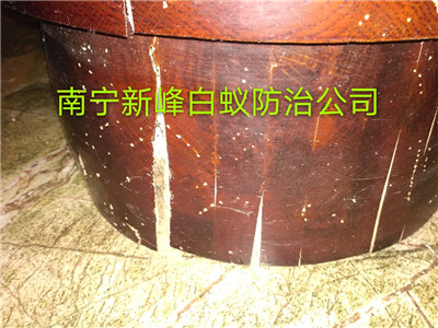 南宁白蚁消杀公司
