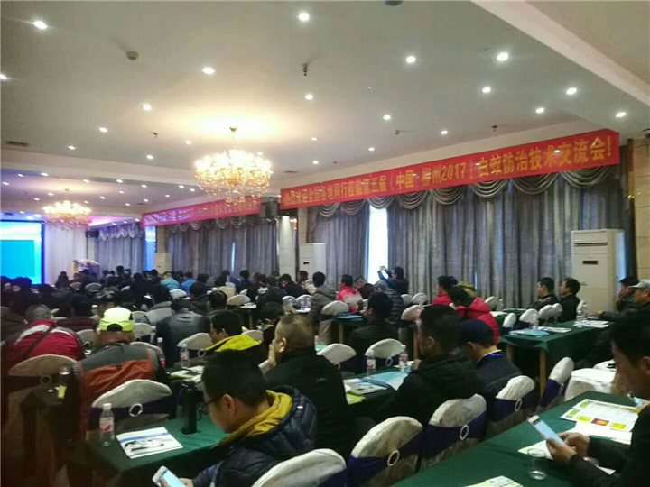南宁办公室白蚁防治