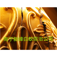 南宁灭白蚁 