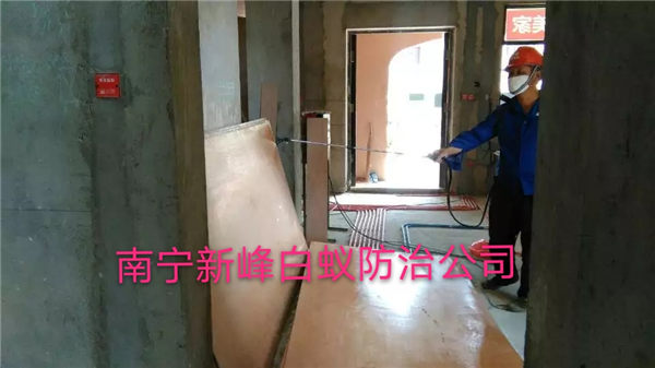 南宁家庭白蚁防治方法 