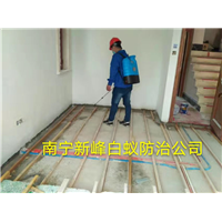南宁新房白蚁治理 
