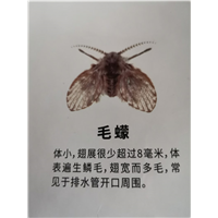 南宁有害生物防治中心电话