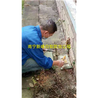 南宁老鼠防治解决方案