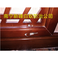南宁市白蚁灭除 