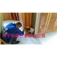 南宁工厂白蚁防治