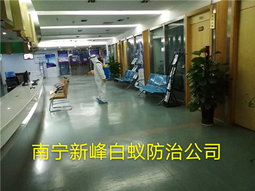 南宁消杀公司哪一家比较正规