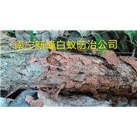 南宁园林白蚁防治中心电话是多少