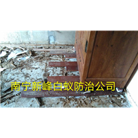 南宁市有哪些白蚁防治公司