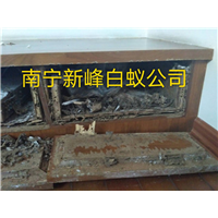 南宁白蚁防治公司常用灭白蚁方法