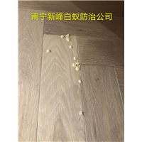 南宁粉蠹防治公司电话是多少