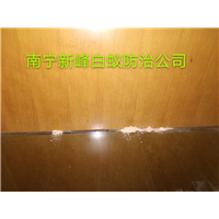 南宁正规粉蠹防治公司