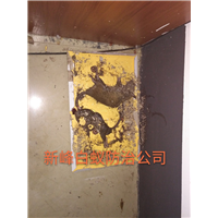 南宁灭鼠公司常用化学杀鼠剂抗凝血酶