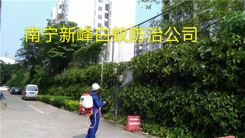 南宁有多少家消杀公司
