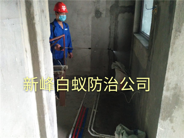 南宁专业白蚁预防治理 
