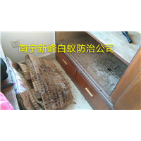 了解的南宁白蚁防治常识