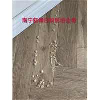 南宁市粉蠹防治哪家比较好呢