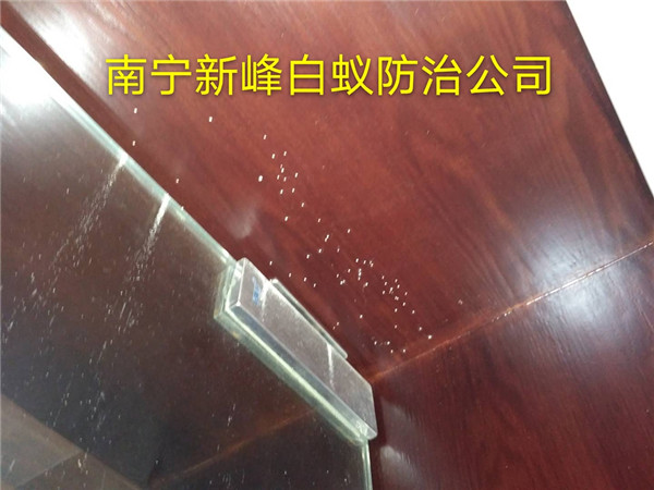 南宁粉蠹防治公司分析其危害原因