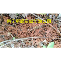 南宁新峰白蚁防治公司电话是多少