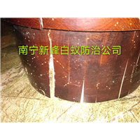 南宁白蚁消杀公司