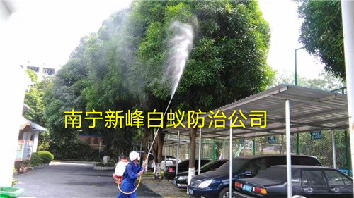 南宁消杀蚊虫从外围绿化带做起
