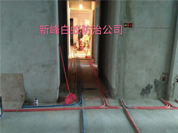 南宁白蚁预防治理中心电话多少 