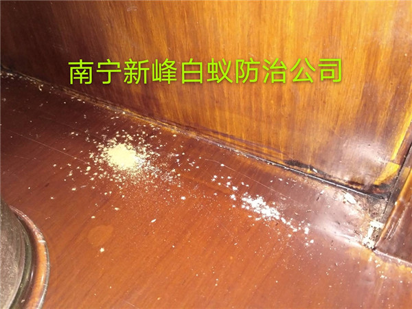 南宁粉蠹防治公司分析粉蠹防治方式