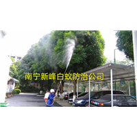 南宁消杀蚊虫从外围绿化带做起