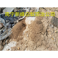 南宁专业红蚁防治公司防治白蚁常识