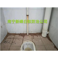 南宁白蚁防治公司提醒别墅容易发生白蚁危害