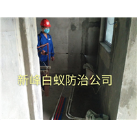 南宁专业白蚁预防治理 