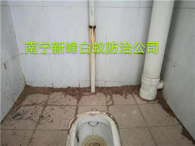 南宁白蚁防治公司提醒别墅容易发生白蚁危害