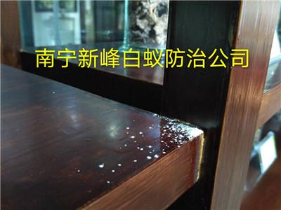 南宁杀虫公司常用的办法有哪些 