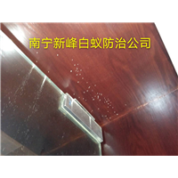 南宁粉蠹防治公司分析其危害原因