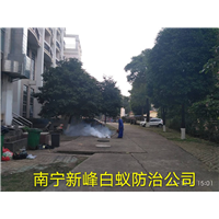 南宁灭蟑螂公司用糖水瓶子捕蟑螂
