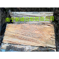 南宁装修房屋要不要做白蚁预防