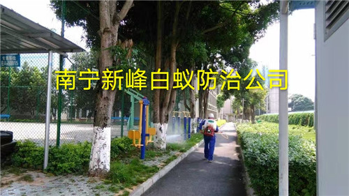 南宁消杀公司电话是多少
