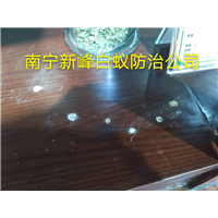 南宁粉蠹防治电话