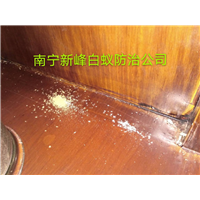 南宁杀虫公司对家庭内有效防治虫害办法 