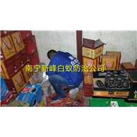 南宁专业白蚁防治公司电话是多少