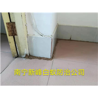 南宁白蚁防治公司跟你一起认识白蚁