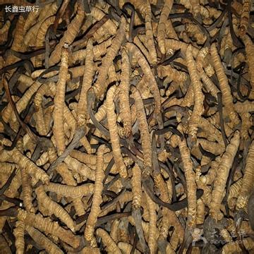 安顺冬虫夏草回收 