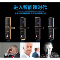 乌鲁木齐开指纹锁 
