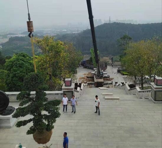 宝应吊车出租公司