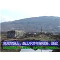 四川优质草炭土生产基地 