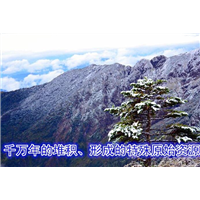 四川草炭土|四川泥炭土价格批发电话：14780620242 