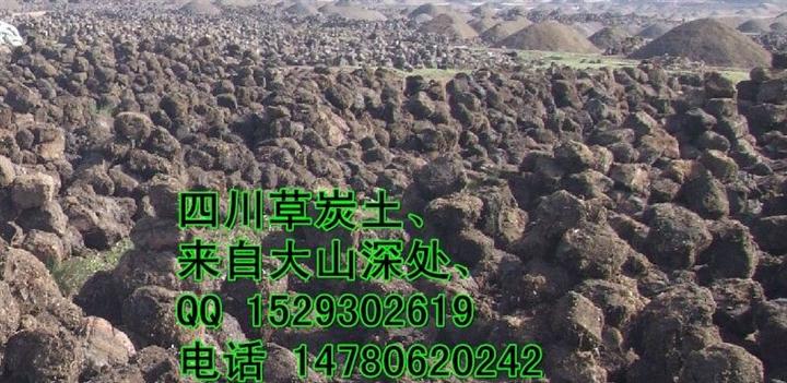 四川玉兰草炭土公司|四川草炭土生产基地| 